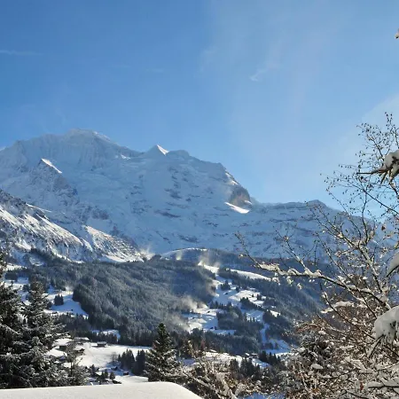Roossihuus Apt-s By Interhome Apartment Wengen