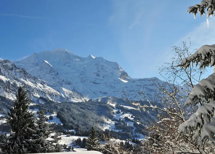 Roossihuus Apt-s By Interhome Apartamento Wengen